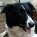 Shawnee was adopted in August, 2005